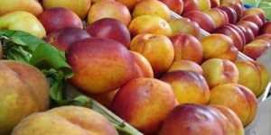 Δωρεάν σε οικονομικά αδύναμους πολίτες 53 τόνοι φρούτα
