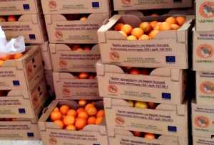 Δωρεάν διανομή φρούτων θα πραγματοποιήσει ο Δήμος Χαλανδρίου