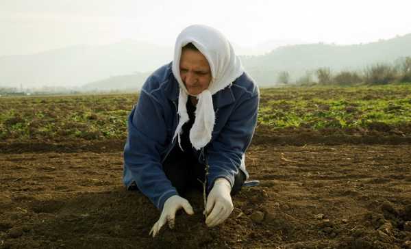 ΥπΑΑΤ και ΓΓ Ισότητας ενισχύουν την θέση της αγρότισσας 