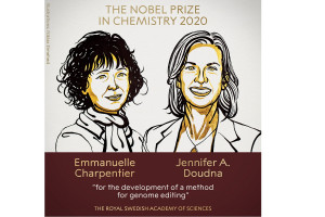 Σε δύο γυναίκες το Νόμπελ Χημείας 2020 για την «ανάπτυξη της επεξεργασίας γονιδιώματος»