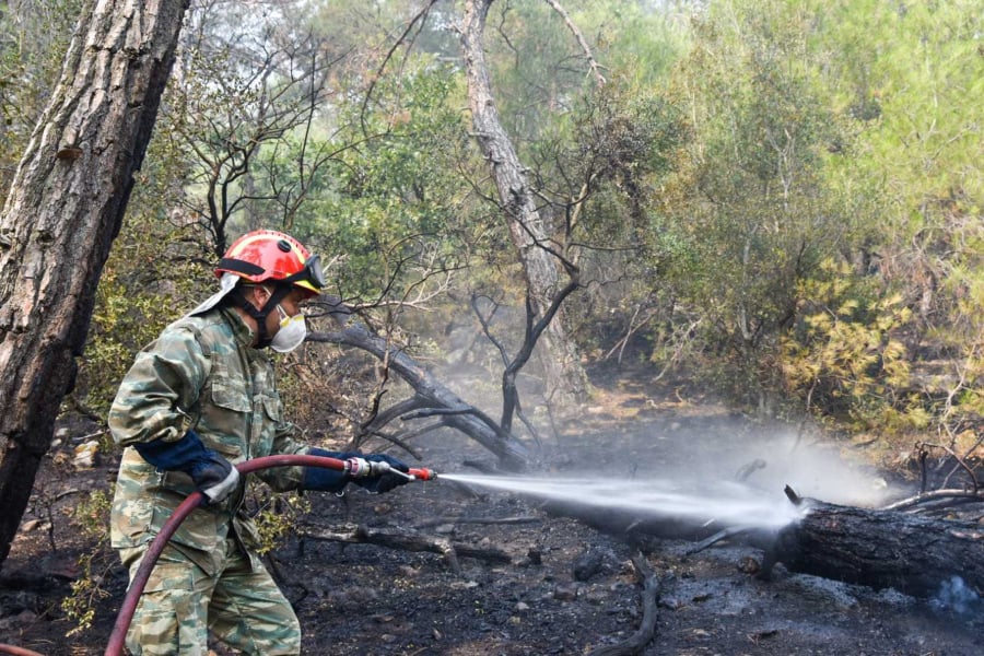 Φωτιά στον Έβρο: Καίγεται για 4η μέρα η Δαδιά -Κυβερνητικό κλιμάκιο σήμερα στην περιοχή (βίντεο)