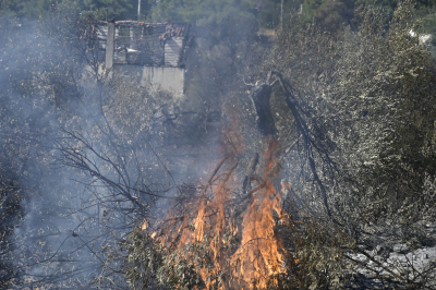 Πυροσβεστική: 71 δασικές πυρκαγιές σε ολόκληρη την Ελλάδα το τελευταίο 24ωρο