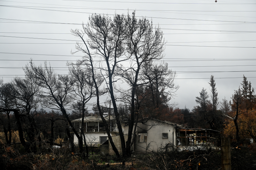 Πόρισμα σοκ για την φωτιά στη Βαρυμπόμπη που έκανε στάχτη 100.000 στρέμματα δάσους