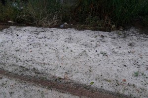 Χαλάζι - γίγας κατέστρεψε καλλιέργειες στην Φθιώτιδα (pics)
