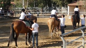 Δήμος Λαρισαίων: Εκμάθηση ιππασίας και πρόγραμμα θεραπευτικής ιππασίας