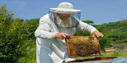 Σεμινάριο στην Μελισσοκομία στο Επιμελητήριο Ηλείας