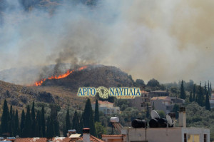 Φωτιά στο Ναύπλιο: Απειλούνται σπίτια - Κλειστοί δρόμοι (pics)