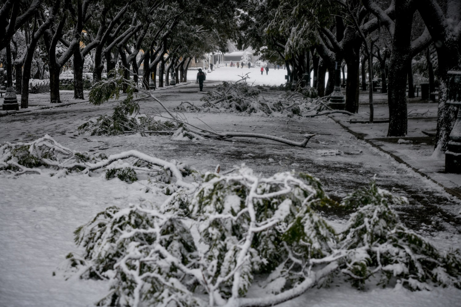 Βριλήσσια: Ο δήμος αποζημιώνει για τις ζημιές από πτώση δέντρου