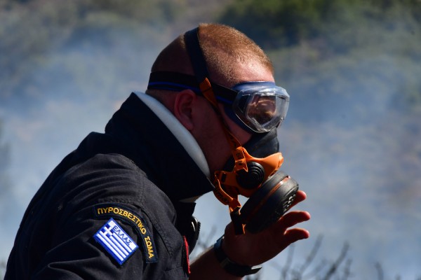 Γρεβενά: Κάηκαν ζωντανά 180 ζώα μέσα στον στάβλο