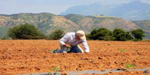 Απαλλαγή από τον ΟΑΕΕ για τους αγρότες με παράλληλο επάγγελμα
