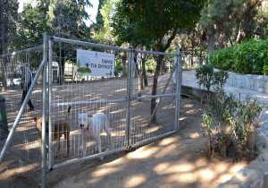 Δύο πάρκα σκύλων στον δήμο Νίκαιας