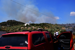 Πυροσβεστική: 39 δασικές πυρκαγιές αντιμετώπισε το τελευταίο 24ωρο