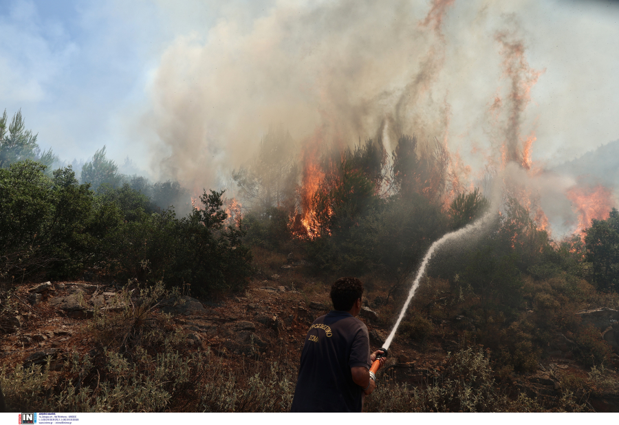 ΕΛΑΣ: Σε εφαρμογή ειδικός σχεδιασμός για την αστυνόμευση περιοχών Natura και δασών λόγω κινδύνου πυρκαγιάς