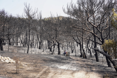Περισσότερα από 20.000 στρέμματα γης έχει κάψει η φωτιά στη Λέσβο