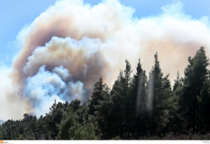 Φωτιά σε δασική έκταση στη Χαλκιδική, επιχειρούν και Καναντέρ