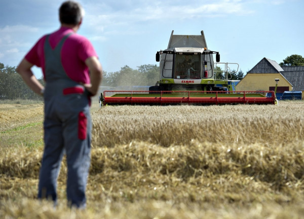 Αγροτικές επιδοτήσεις έως 14.000 ευρώ - Οι δικαιούχοι, τα κριτήρια και οι προθεσμίες για τις αιτήσεις