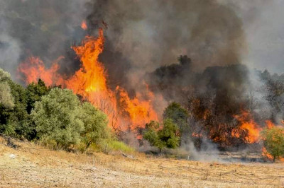 Ηράκλειο: Φωτιά στη Ροδιά Μαλεβιζίου - Ισχυροί άνεμοι στην περιοχή