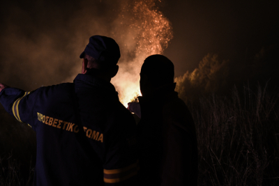 Φωτιά στα Τρίκαλα Κορινθίας - Υπάρχουν 4 εστίες, δεν απειλούνται σπίτια