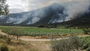 Υπό έλεγχο η φωτιά με τις πέντε εστίες στην Τιθορέα - Εμπρησμό καταγγέλλουν οι κάτοικοι