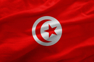 Εγκρίθηκε με 96,4% το νέο Σύνταγμα της Τυνησίας σε δημοψήφισμα