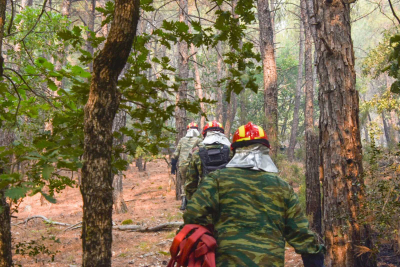 Καίγεται για έβδομη μέρα το δάσος της Δαδιάς - Ξεκίνησαν οι εναέριες ρίψεις νερού