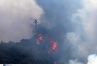 Πατούλης: Τεράστια οικολογική καταστροφή από τη φωτιά στα Βίλια