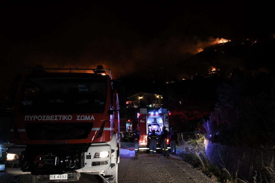 Συναγερμός στην Πυροσβεστική: Φωτιά σε δασική έκταση στην περιοχή Λίμνη Δασίου