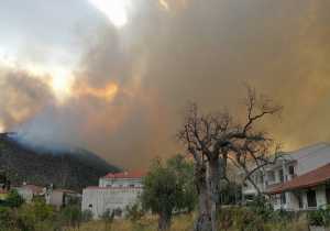 ΕΛΓΑ: Καταγράφηκαν οι ζημιές από την καταστροφική πυρκαγιά στη Θάσο