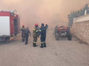 Πύρινη κόλαση στη Ζάκυνθο: Κάηκαν σπίτι και αγροικίες - Εκκενώθηκαν χωριά- 111 πυροσβέστες στην κατάσβεση (vids &amp;pics)
