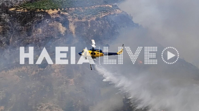 Αναζωπύρωση της φωτιάς στην Ηλεία: Κινείται προς το χωριό, ενίσχυση με 7 εναέρια μέσα (βίντεο)