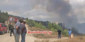 Λουτράκι: Φωτιά στο πευκοδάσος στην Περαχώρα