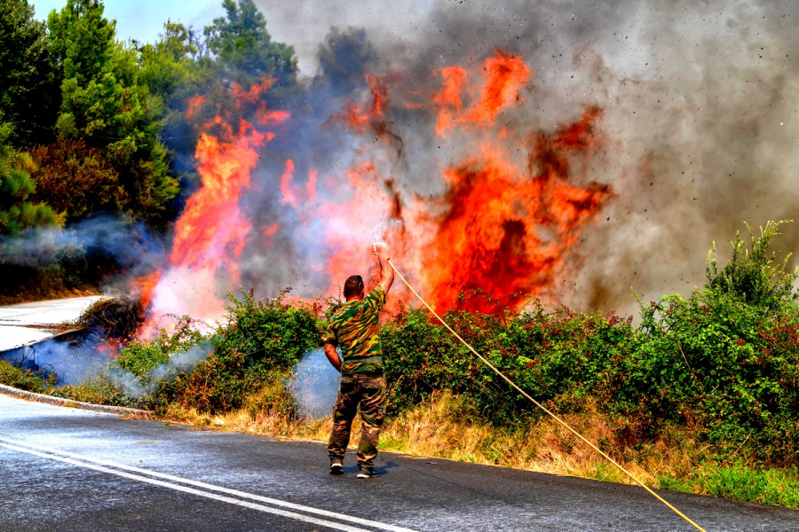Φωτιά στην Ηλεία: Κρανίου τόπος η Νεμούτα - Συνεχείς οι αναζωπυρώσεις στην περιοχή (βίντεο)