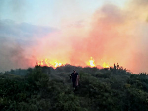 Μεγάλη φωτιά σε δασική έκταση στην Εύβοια- Κινητοποιήθηκαν 30 πυροσβέστες