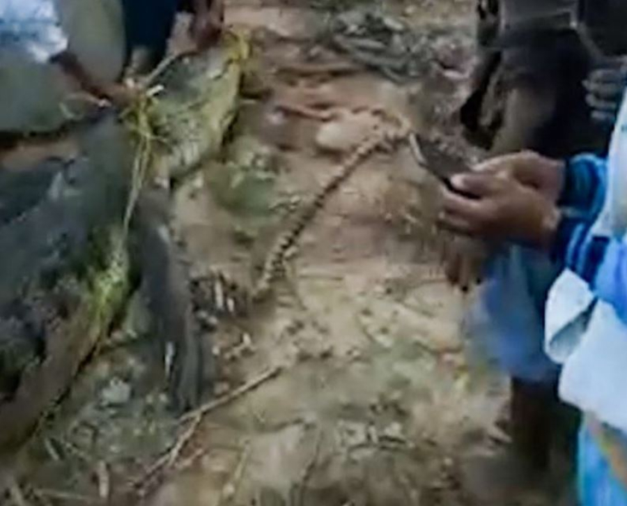 Θρίλερ με τεράστιο κροκόδειλο: Καταβρόχθισε 45χρονο ψαρά (εικόνες)