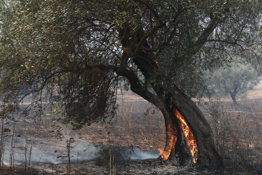 Μαίνεται η φωτιά στον Έβρο για πέμπτη ημέρα: Πύρινα μέτωπα σε Αλεξανδρούπολη, δάσος Δαδιάς, Ροδόπη -Νέα 112 για εκκενώσεις