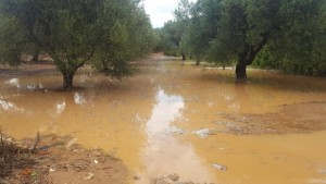 Πλημμύρισε η Κρήτη - Εικόνες καταστροφής(video)