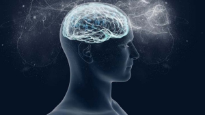 Επιστήμονες χαρτογράφησαν τον ανθρώπινο εγκέφαλο, τι ανακάλυψαν