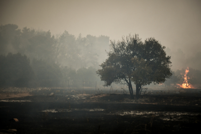 Φωτιά καίει δασική έκταση σε δύσβατη ορεινή περιοχή στο Ωραίο της Ξάνθης
