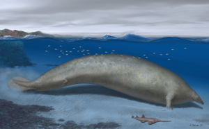 Ζωγραφική αποτύπωση της φάλαινας Perucetus colossus στο παράκτιο περιβάλλον της
