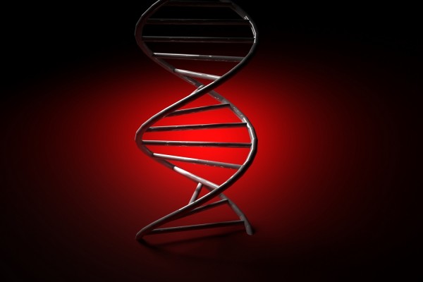 Πρωτεΐνες επιδιορθώνουν DNA βλάβες