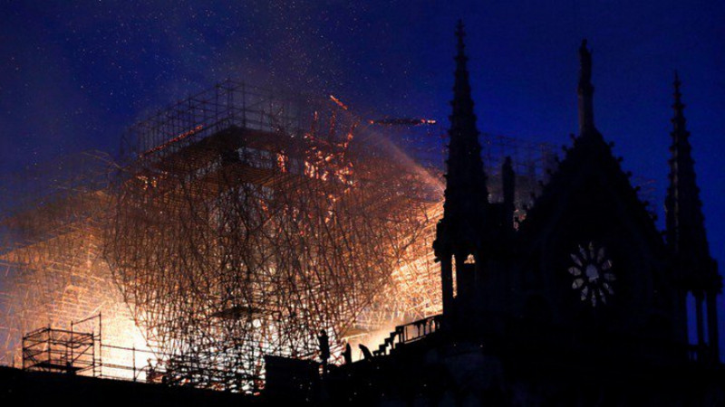 Παναγία των Παρισίων: Υπεραιωνόβιες βελανιδιές φέρνουν ξανά στη ζωή τον ναό που κάηκε (βίντεο)