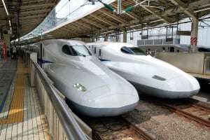 Τρένο στην Ιαπωνία καθυστέρησε 17 λεπτά λόγω ενός φιδιού