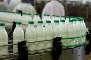Καλά νέα για τους έλληνες κτηνοτρόφους από την αύξηση των ευρωπαϊκών τιμών γάλακτος