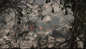 Καλιφόρνια: Τουλάχιστον δύο νεκροί από τις τεράστιες δασικές πυρκαγιές