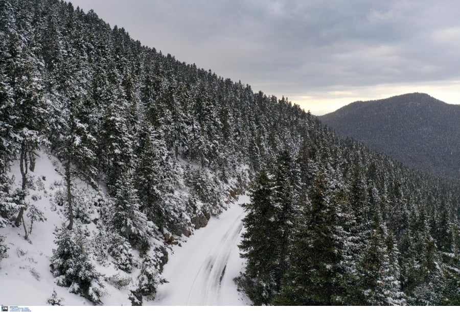 Κακοκαιρία «Διομήδης»: Έκτακτο δελτίο καιρού με πυκνές χιονοπτώσεις και «βουτιά» της θερμοκρασίας
