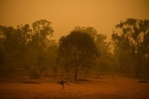 Αυστραλία: Νέες δασικές πυρκαγιές σε όλη τη χώρα - Αυξάνεται ο αριθμός των νεκρών