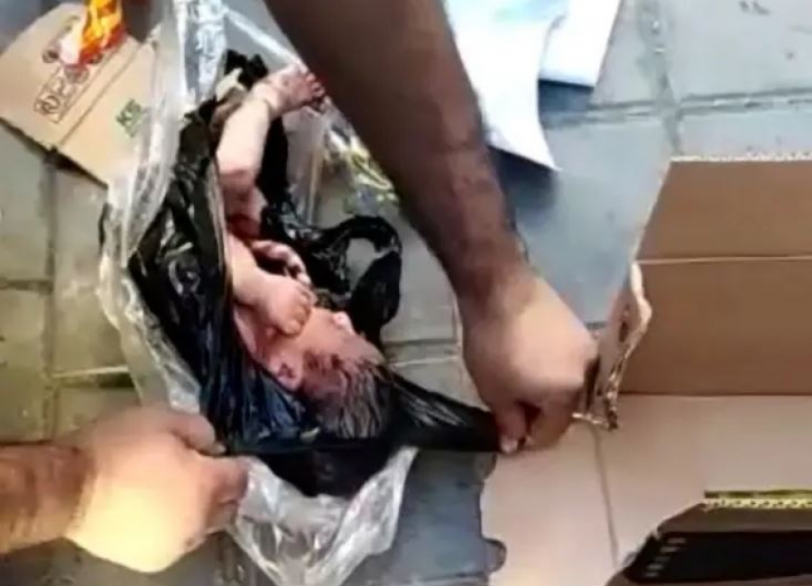 Συγκλονίζει η δραματική διάσωση νεογέννητου: To έβαλαν σε πλαστική σακούλα και το έριξαν σε κάδο σκουπιδιών (βίντεο)