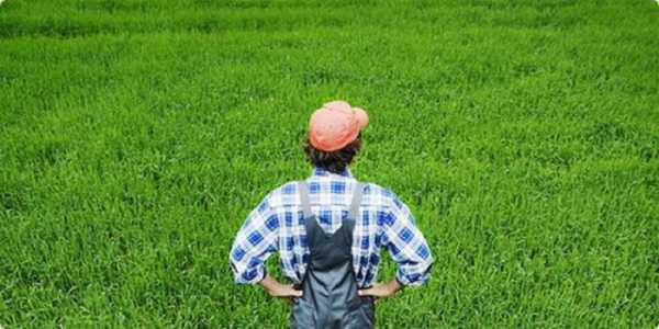Διευκρινίσεις για αγρότες σε συνταξιοδότηση δικαιούχους του Μέτρου 121