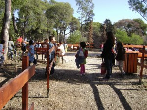Δωρεάν φιλοξενία στις κατασκηνώσεις του Αγίου Ανδρέα για παιδιά του Δήμου Ηρακλείου Αττικής