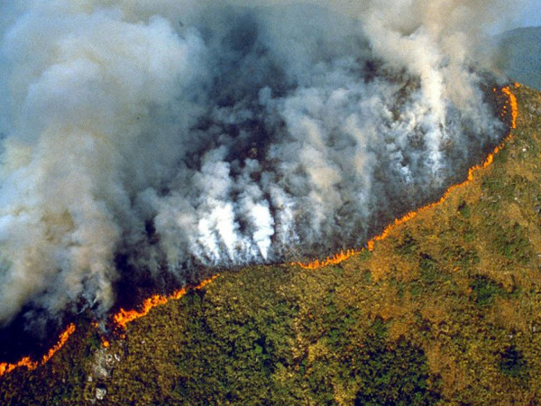 G7 για πυρκαγιές στον Αμαζόνιο: Έκτακτη βοήθεια 20 εκατ. δολαρίων για την αποστολή Canadair